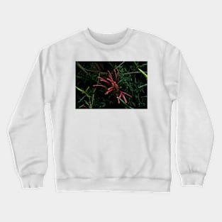 Grevillea Close Up Crewneck Sweatshirt